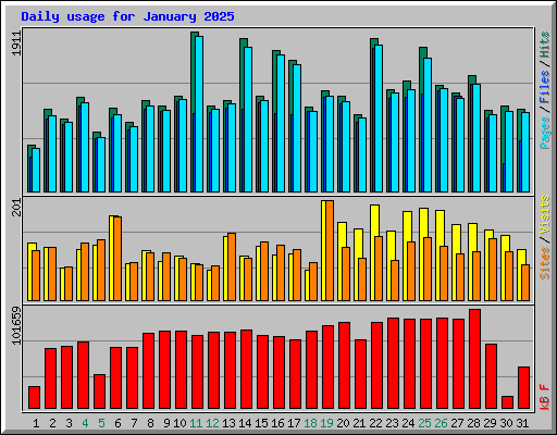 Daily usage for January 2025