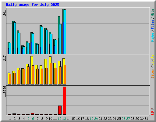 Daily usage for July 2025