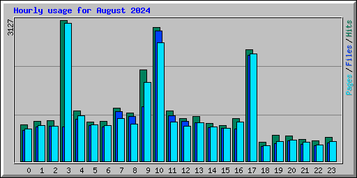 Hourly usage for August 2024