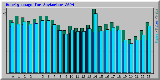 Hourly usage for September 2024