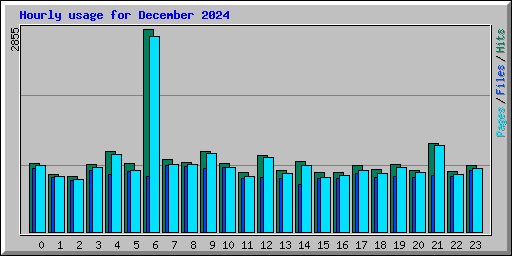 Hourly usage for December 2024