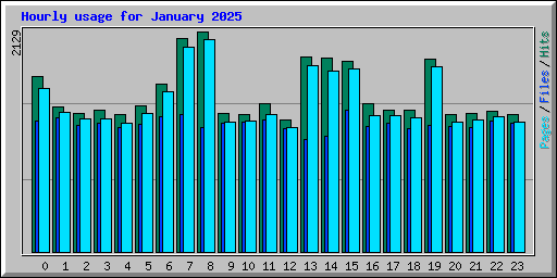 Hourly usage for January 2025