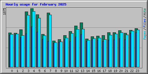 Hourly usage for February 2025