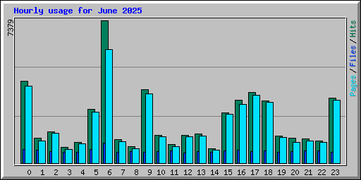 Hourly usage for June 2025