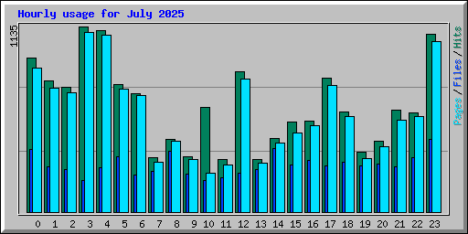 Hourly usage for July 2025